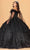Elizabeth K GL3101 - Corset Bodice Ballgown Special Occasion Dress