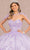 Elizabeth K GL3103 - Applique Quinceanera Ballgown Special Occasion Dress