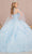 Elizabeth K GL3103 - Applique Quinceanera Ballgown Special Occasion Dress