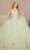 Elizabeth K GL3109 - Bell Sleeve Quinceanera Ballgown Special Occasion Dress XS / Sage