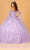 Elizabeth K GL3110 - Sweetheart Butterfly Appliqued Ballgown Special Occasion Dress