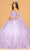 Elizabeth K GL3110 - Sweetheart Butterfly Appliqued Ballgown Special Occasion Dress