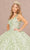 Elizabeth K GL3173 - Floral Detailed Sleeveless Ballgown Special Occasion Dress