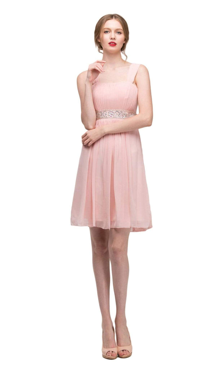 Eureka Fashion - 2450 Embellished Chiffon Knee Length A-line Dress Special Occasion Dress XS / Dusty Pink