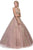 Eureka Fashion - 6900 Lace Appliqued Scoop Ballgown Quinceanera Dresses XS / Mocha