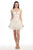Eureka Fashion Lace Embroidered Mesh A-line Dress 3911 CCSALE S / Ivory