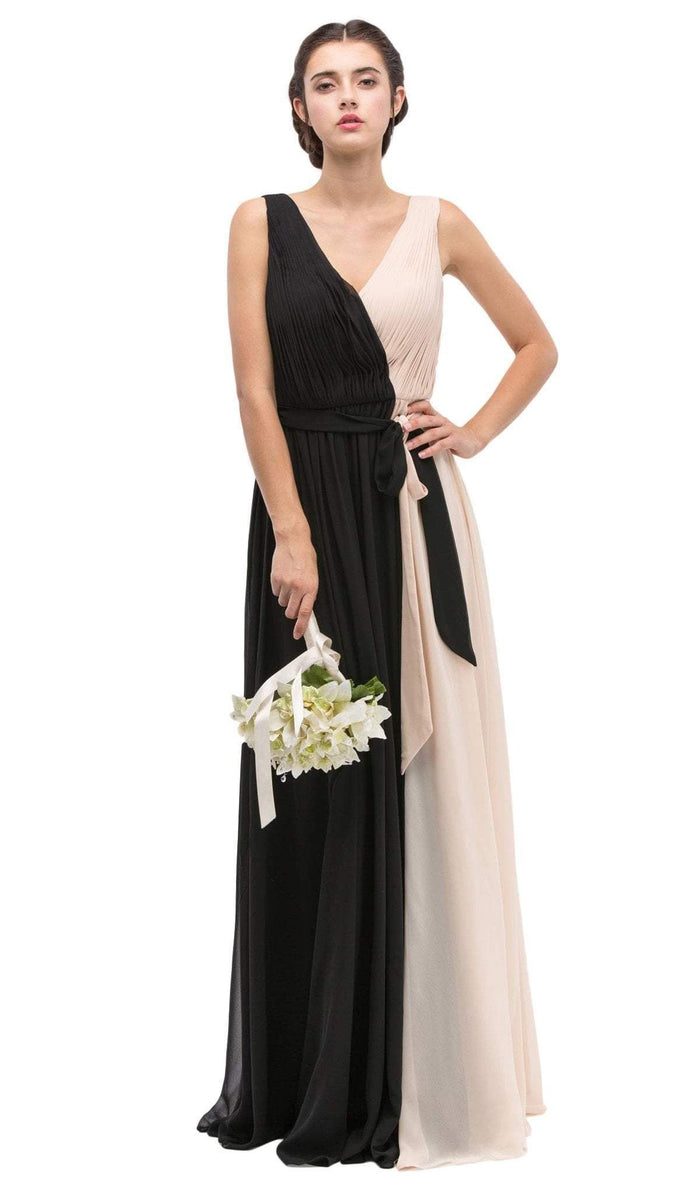 Eureka Fashion - V-neck Chiffon Pleated A-line Dress Special Occasion Dress XS / Black/Champagne