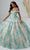 Fiesta Gowns 56445 - Florals And Appliques Ballgown Ballgown 0 / Mint/Champagne