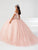 Fiesta Gowns 56460 - Tulle Sweet Glittered Ballgown Special Occasion Dress