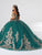Fiesta Gowns 56461 - Floral Appliqued Quinceanera Dress Special Occasion Dress
