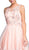 Floral Applique A-line Homecoming Dress Dress