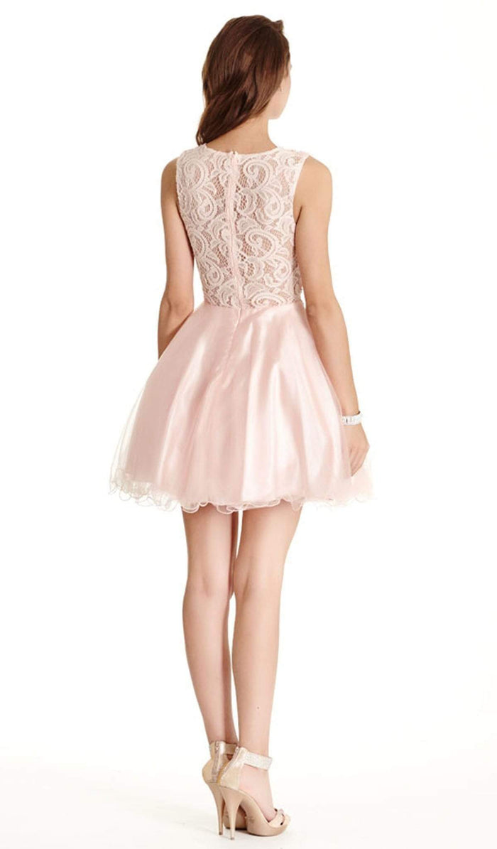 Floral Lace A-line Homecoming Dress Homecoming Dresses XXS / Blush