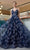 J'Adore - J19018 Floral Embellished Soft A-line Dress Special Occasion Dress