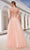 J'Adore - JM104 Lace Applique Bodice Glitter Tulle A-Line Gown In Pink