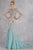 Janique - Lace and Tulle Floral Applique Flare Gown 1514 Special Occasion Dress 0 / Baby Blue