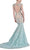 Janique - Lace and Tulle Floral Applique Flare Gown 1514 Special Occasion Dress