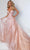 Johnathan Kayne 2555 - Strapless V-Neck Long Gown In Pink