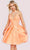 Jovani 08645 - V-Neck Pleated A-Line Cocktail Dress Special Occasion Dress 00 / Orange