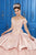 LA Glitter - 24044 Floral Lace Deep Offshoulder Glitter Tulle Ballgown Special Occasion Dress