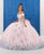 LA Glitter - 24049 Lace Off-Shoulder Tulle Ballgown Special Occasion Dress 0 / Baby Pink
