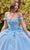 Ladivine 15702 - Floral Applique Ballgown Evening Dresses