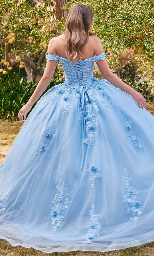 Ladivine 15702 - Floral Applique Ballgown