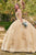 Ladivine 15702 - Floral Applique Ballgown Evening Dresses XS / Champagne