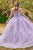 Ladivine 15702 - Floral Applique Ballgown Evening Dresses XS / Lavender