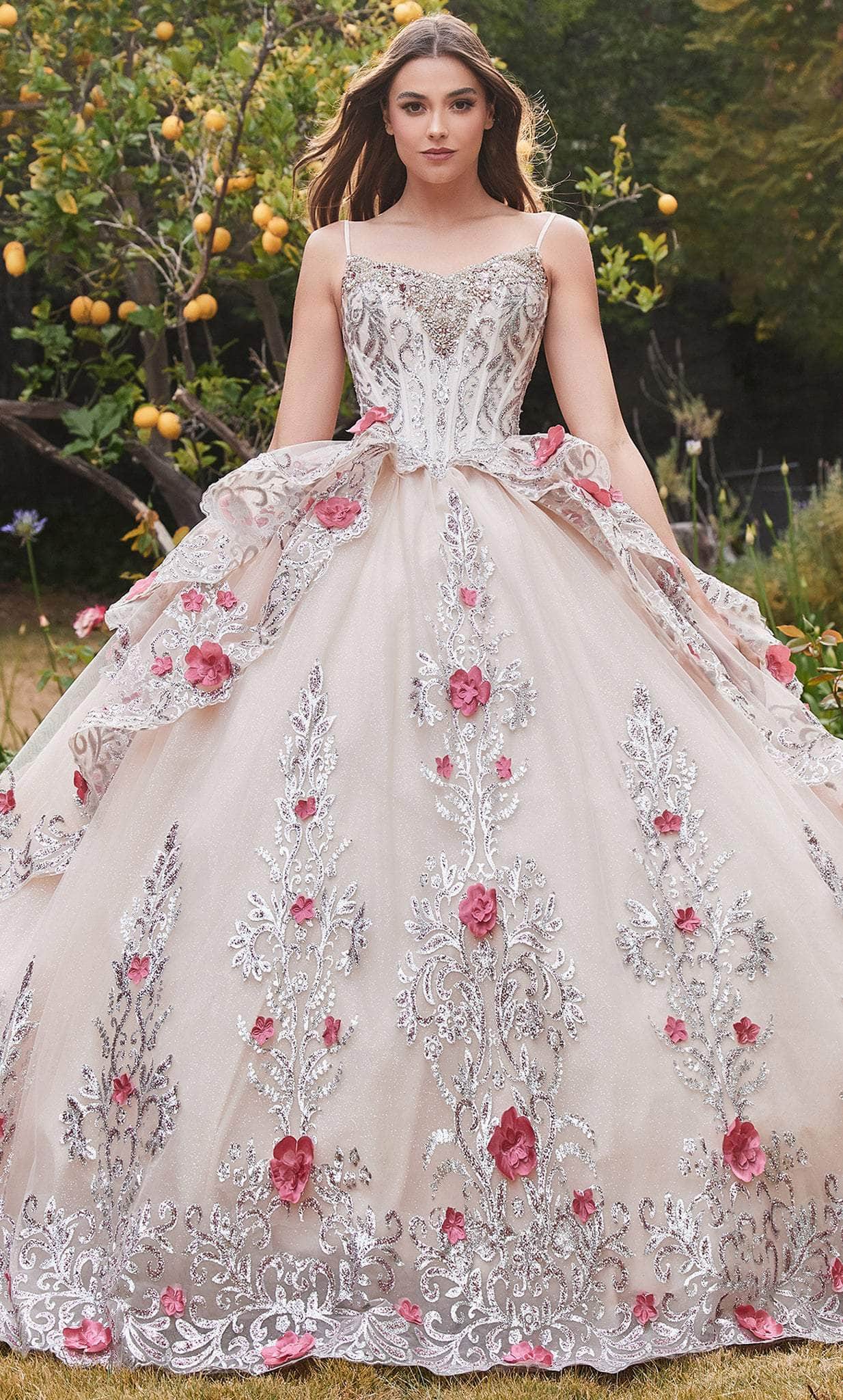 Champagne Floral Embroidered Princess Ball Gown Quinceanera Dresses main image 1