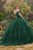 Ladivine 15704 - Sweetheart Floral Appliqued Ballgown Ball Gowns XS / Emerald
