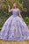 Ladivine 15704 - Sweetheart Floral Appliqued Ballgown Special Occasion Dress