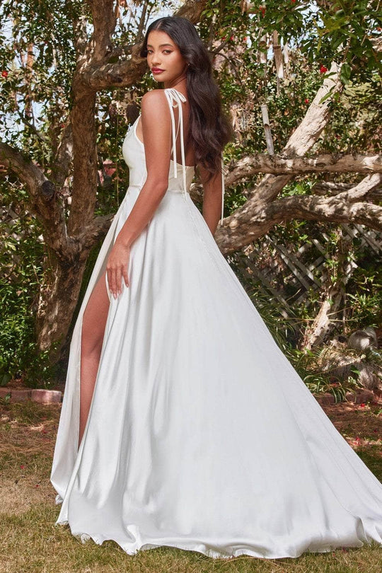 Ladivine BD104W - Cowl Neck Satin A-Line Gown