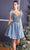 Ladivine CD0174 Cocktail Dresses XXS / Smoky Blue