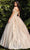 Ladivine CD0185 Evening Dresses