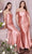 Ladivine CH163C Prom Dresses 2X / Dusty Rose