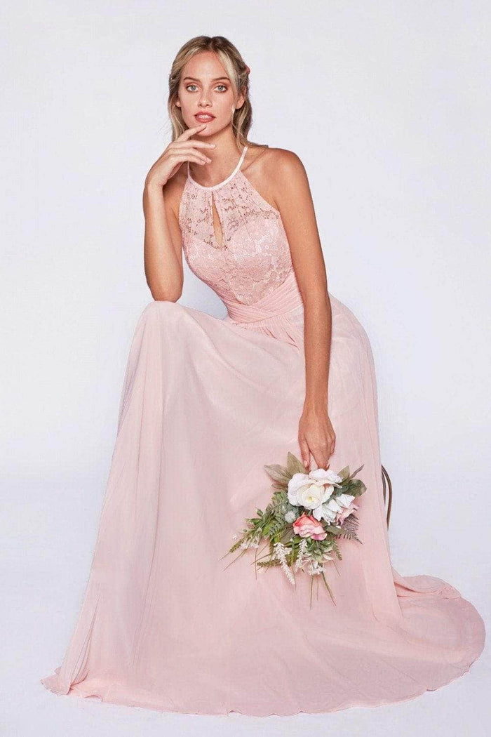 Ladivine CJ228 Prom Dresses 2 / Blush