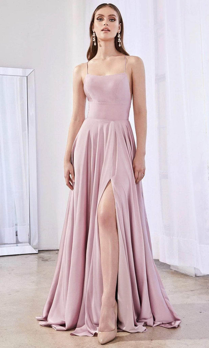 Ladivine CJ527 - Scoop Prom Dress with Slit Special Occasion Dress 2 / Dusty Rose