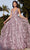 Ladivine J838 - Applique A-Line Prom Dress Special Occasion Dress 2 / Mauve