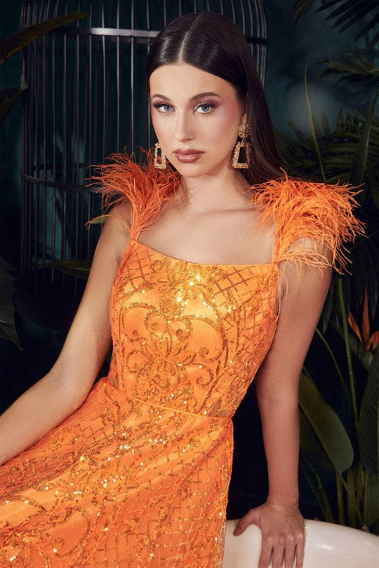 Ladivine KV1076 - Sleeveless Feathered A-line Gown