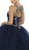May Queen - LK117 Appliqued Scoop Pleated Ballgown Quinceanera Dresses