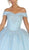 May Queen - LK119 Off Shoulder Trailing Florals Ballgown Quinceanera Dresses