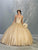 May Queen - LK126 Sequined Strapless Sweetheart Ballgown Quinceanera Dresses 2 / Champagne/Gold