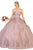 May Queen - LK140 Floral Applique Sweetheart Ballgown Quinceanera Dresses