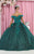 May Queen LK154 - Floral Applique Ballgown Ball Gowns 4 / Hunter Green