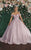 May Queen LK154 - Floral Applique Ballgown Special Occasion Dress 4 / Mauve