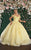 May Queen LK154 - Floral Applique Ballgown Special Occasion Dress 4 / Yellow