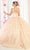 May Queen LK168 - Floral Lace Quinceanera Ballgown Ball Gowns