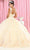 May Queen LK171 - Wide Strap Floral Glitter Ballgown Ball Gowns