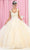 May Queen LK171 - Wide Strap Floral Glitter Ballgown Ball Gowns 4 / Champagne