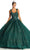 May Queen LK171 - Wide Strap Floral Glitter Ballgown Ball Gowns 4 / Huntergreen